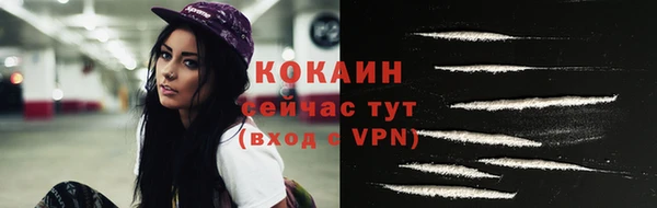 МДПВ Козельск
