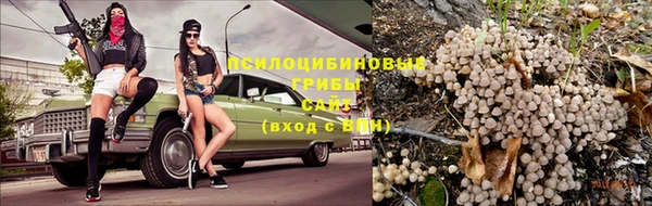 МДПВ Козельск